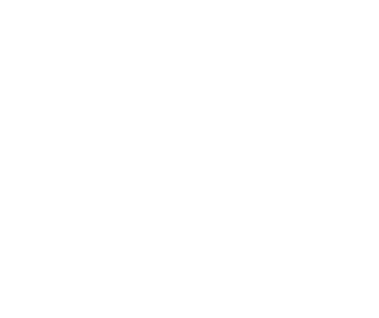 Great Scott Handyman